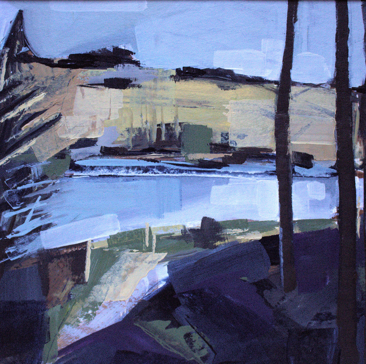 Nant-y-Arian in January I