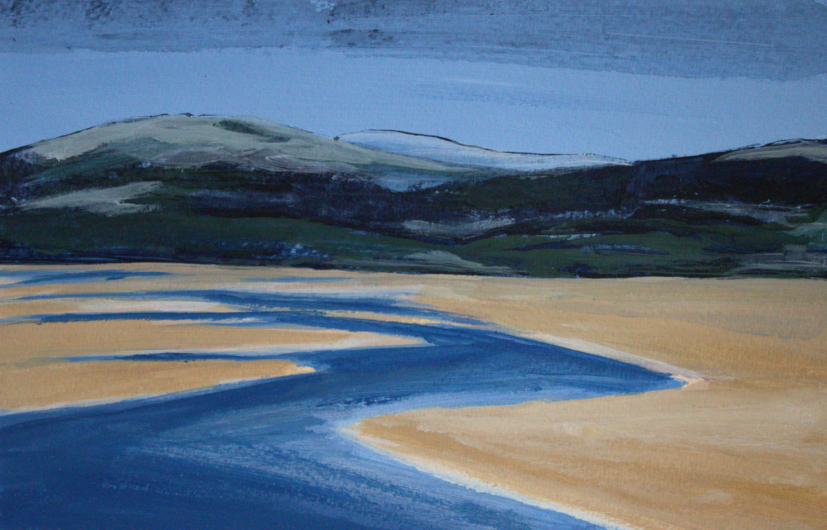 Dyfi Estuary I