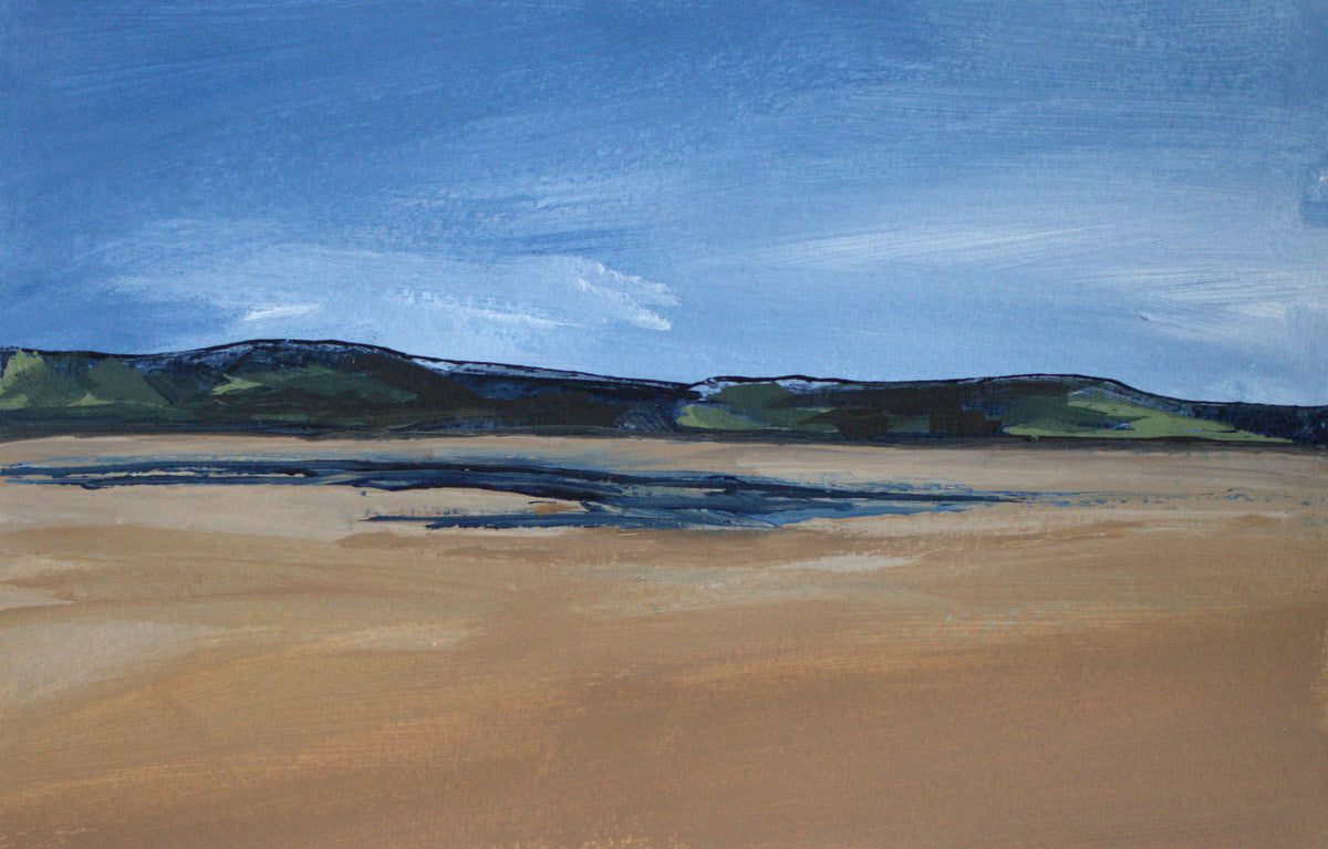 Dyfi Estuary II