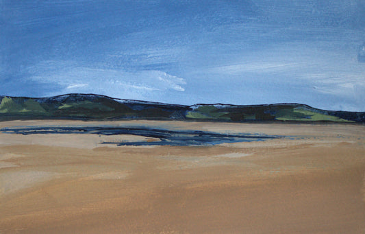 Dyfi Estuary II