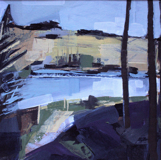 Nant-y-Arian in January I