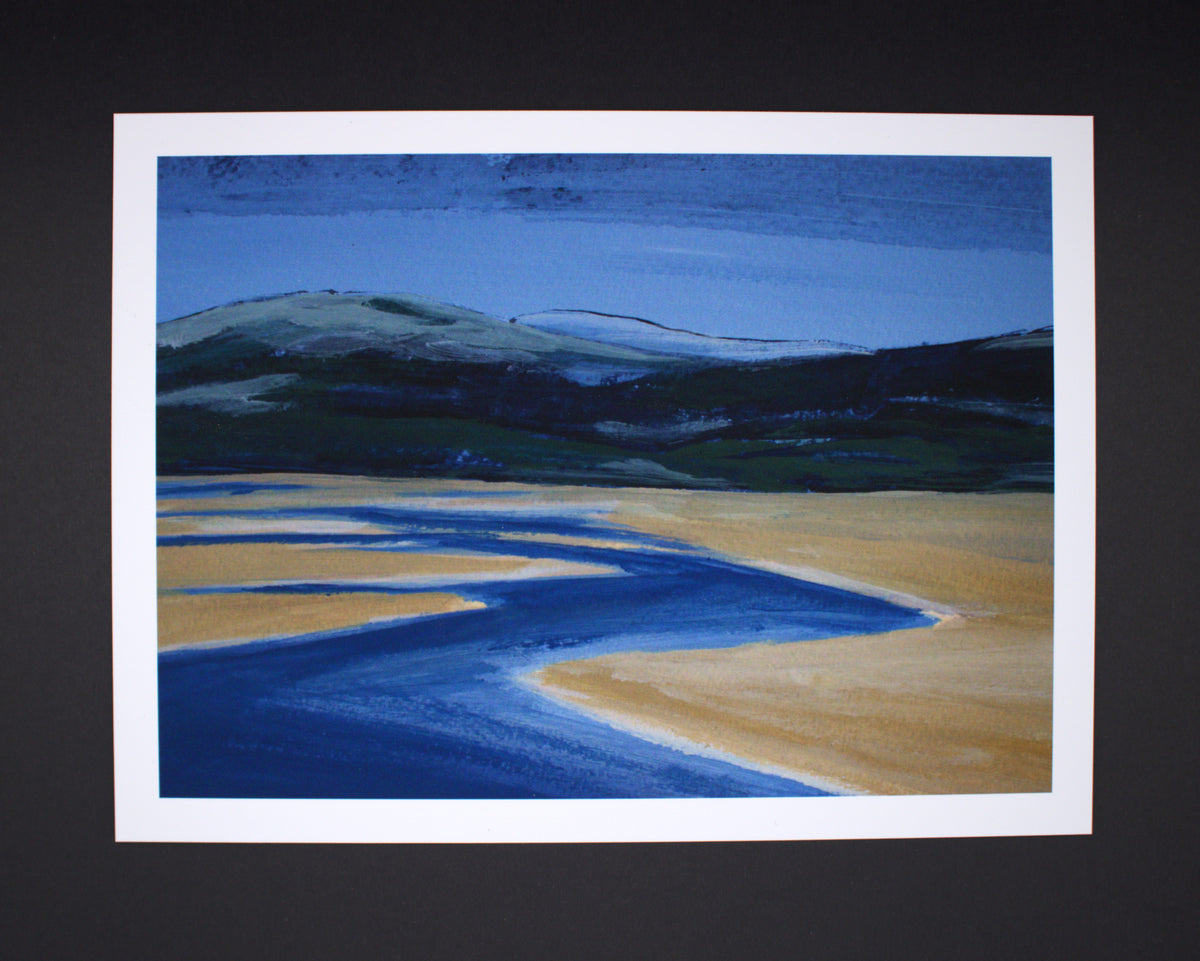 Dyfi Estuary I