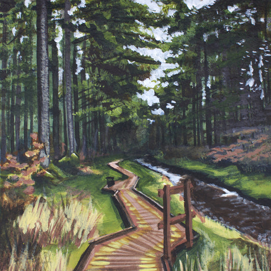 Hafren Forest