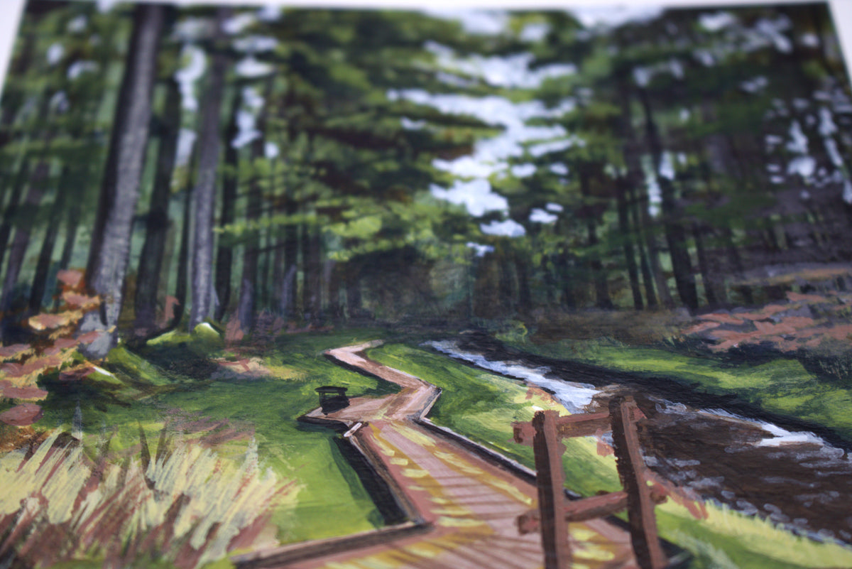 Hafren Forest