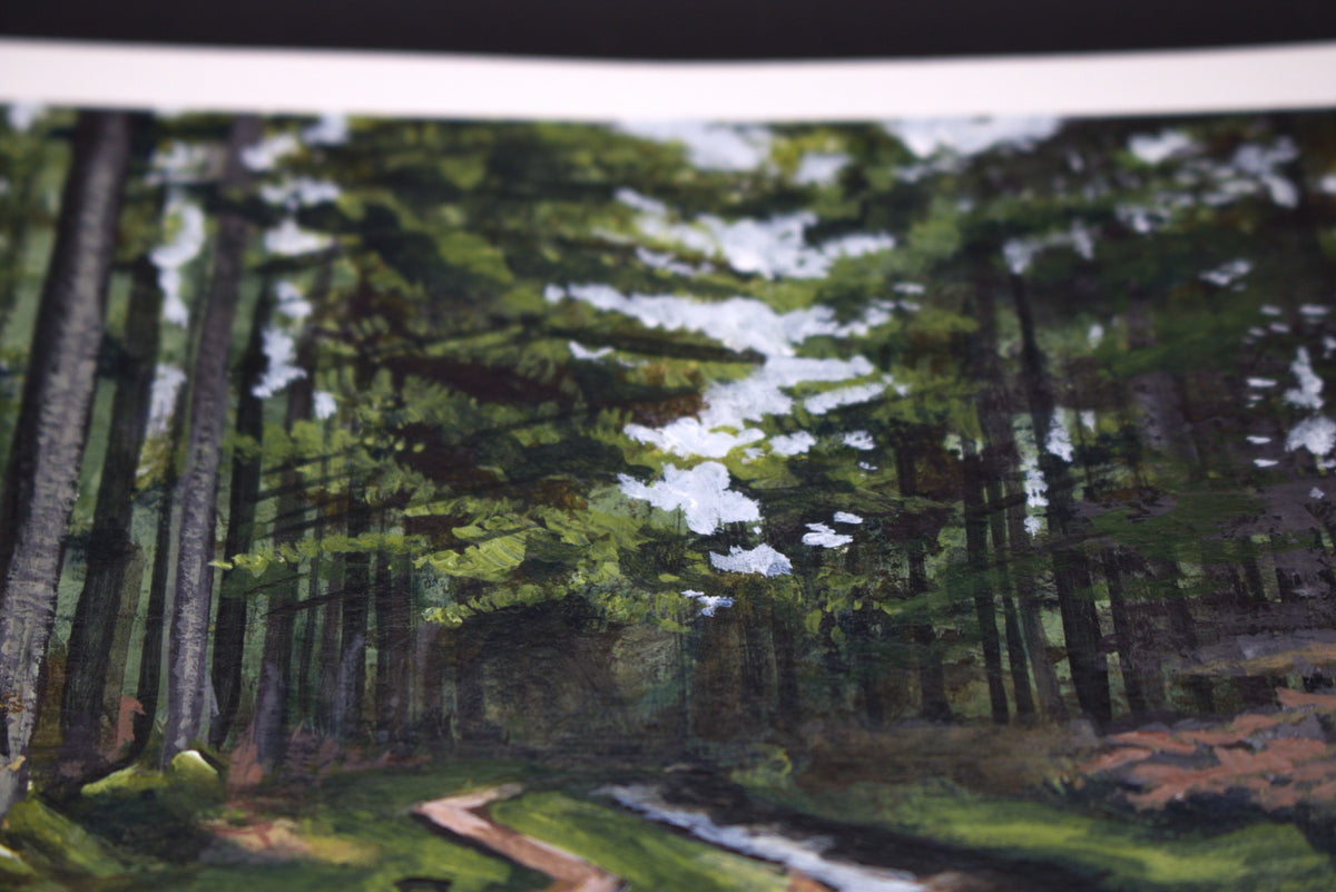 Hafren Forest