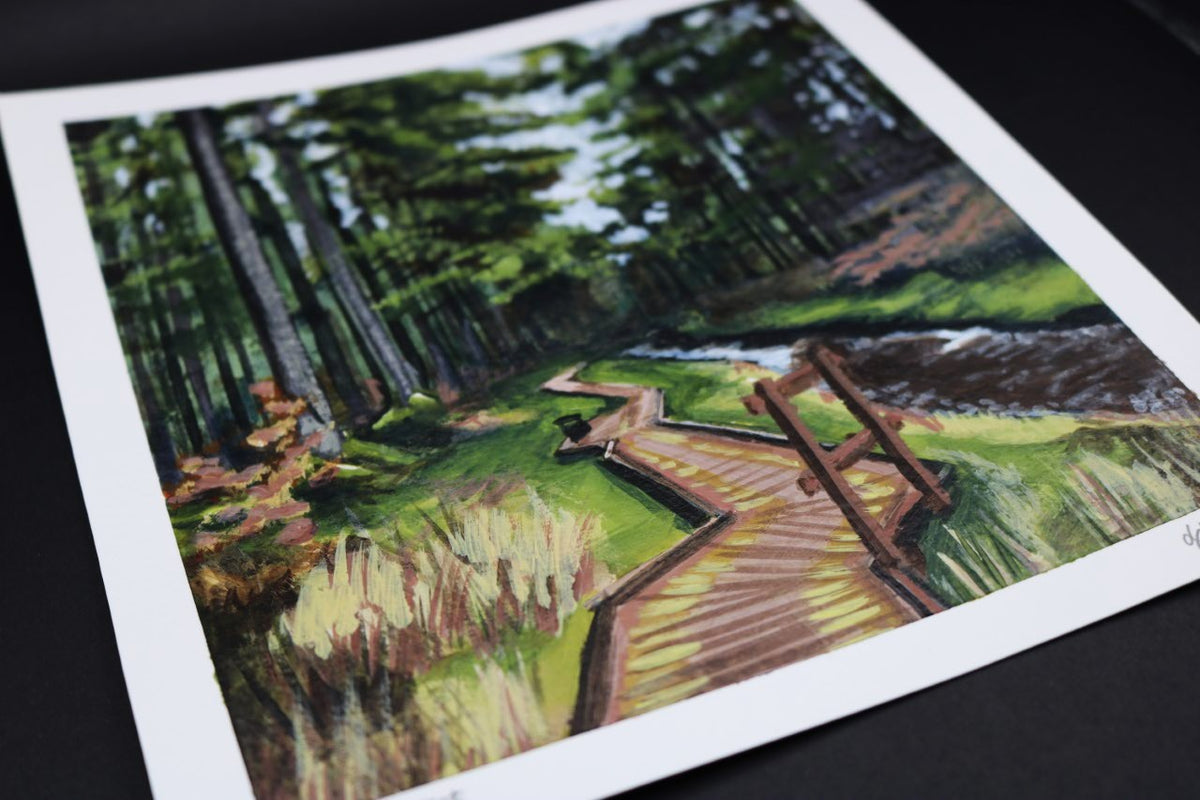 Hafren Forest