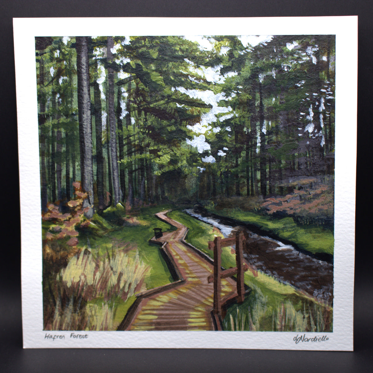 Hafren Forest