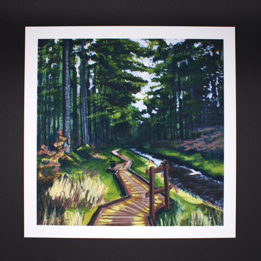 Hafren Forest