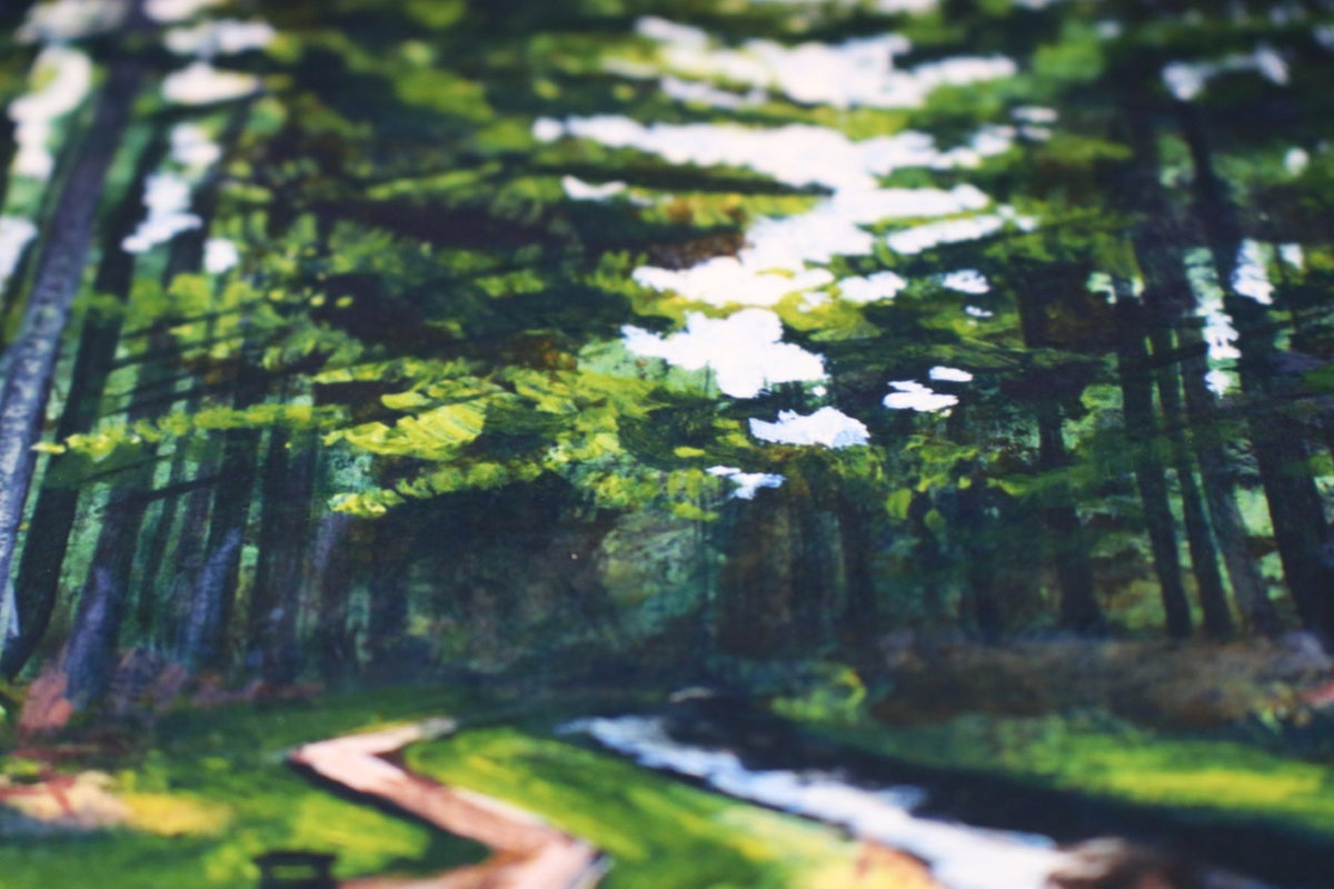 Hafren Forest