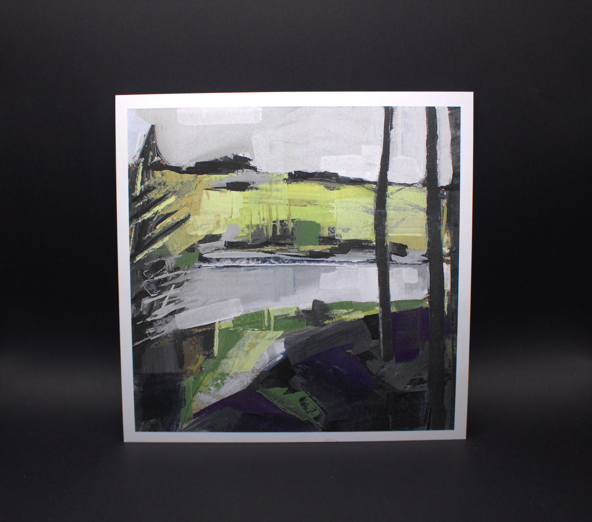 Nant-y-Arian in January I
