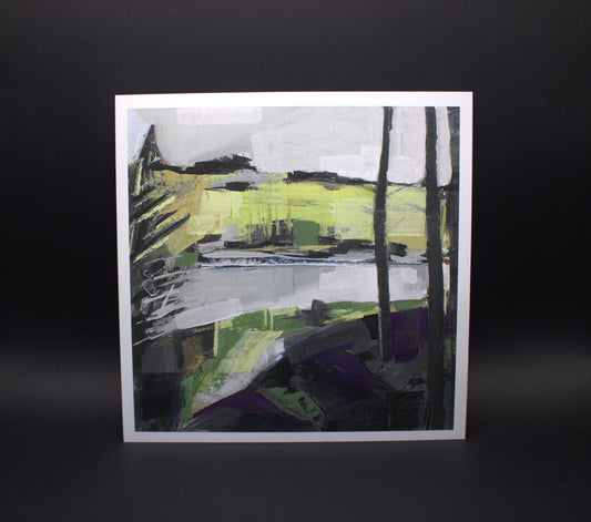 Nant-y-Arian in January I
